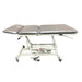 Armedica AM-134 Bariatric Treatment Table - DENTAMED USA